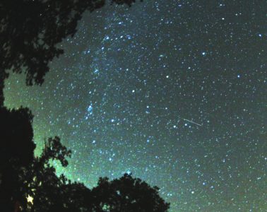 Perseid meteor