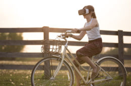 virtual reality librestock