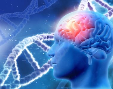 brain new