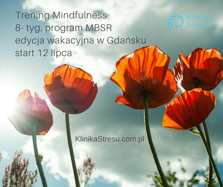 mindfulness mbsr w gdansku lato