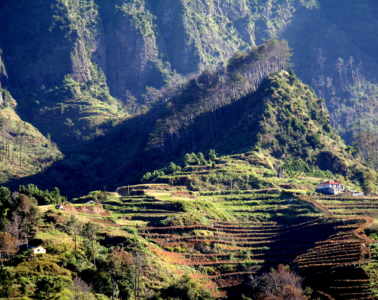 madeira terrassen