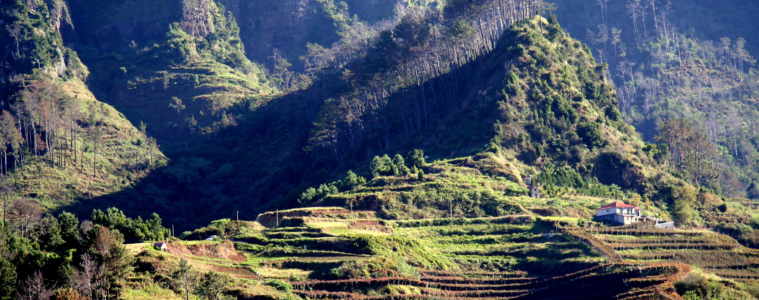 madeira terrassen