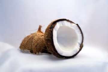 coconut interior view