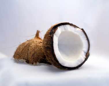 coconut interior view